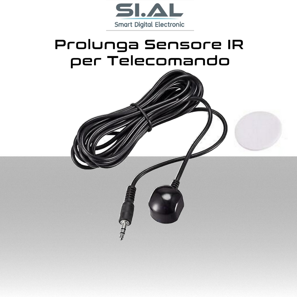 easyvoice