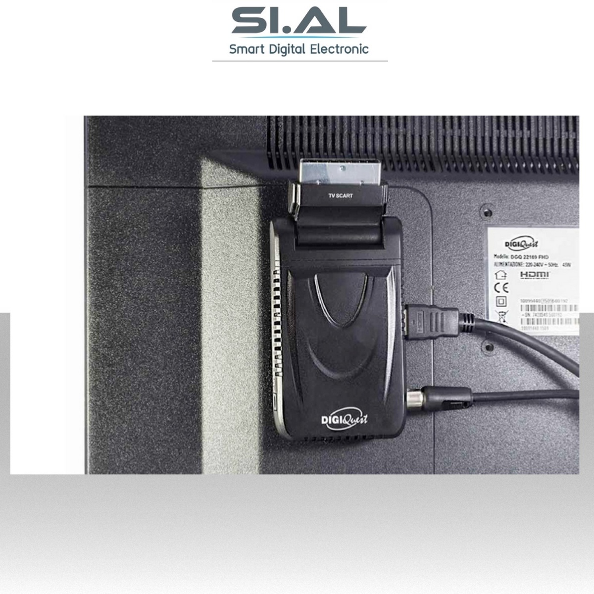 Digiquest Easy scart