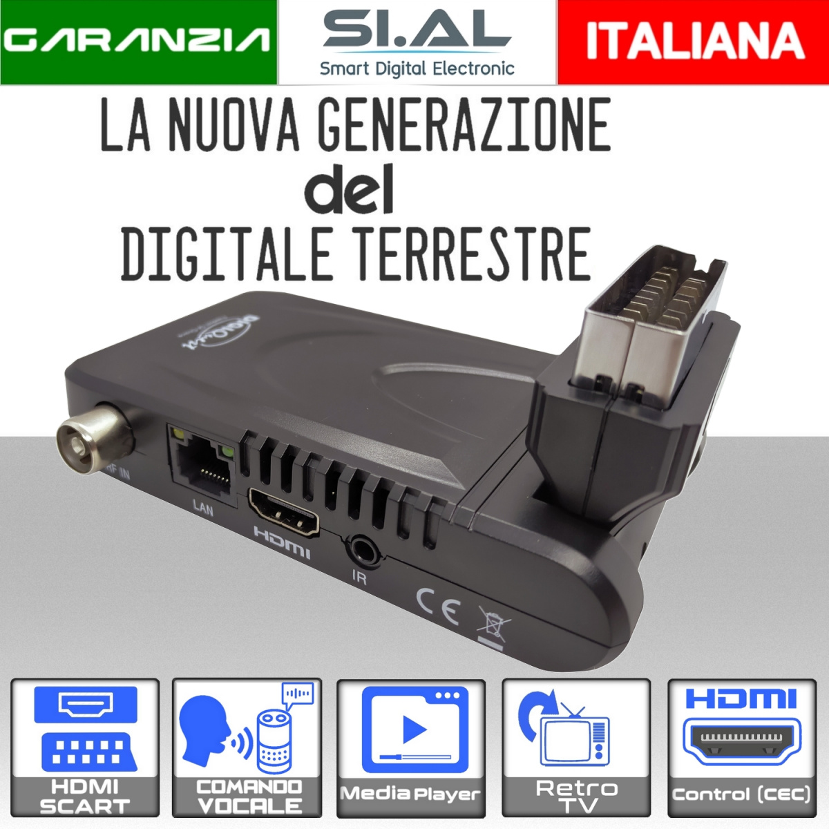 easyvoice