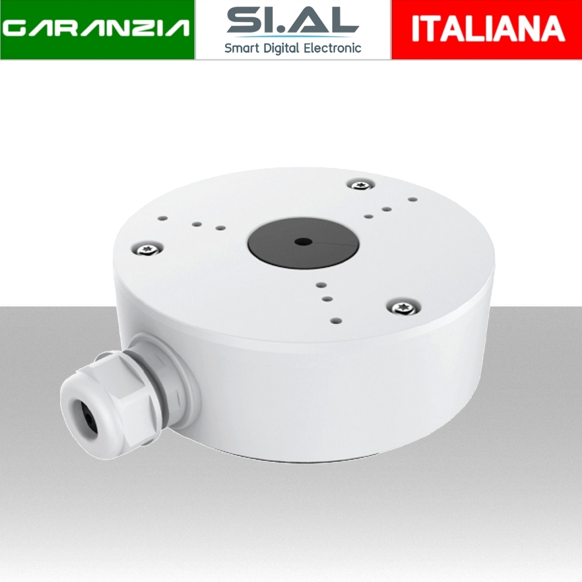 Tiandy juntion box turret bullet