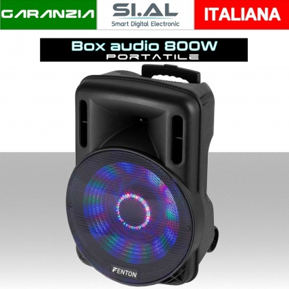 Cassa audio portatile Bluetooth da 800W con microfono wireless a batteria disco led trolley