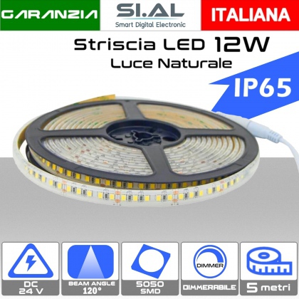 Striscia LED 12W Luce naturale 4000K da 5 metri 24V dimmerabile IP65