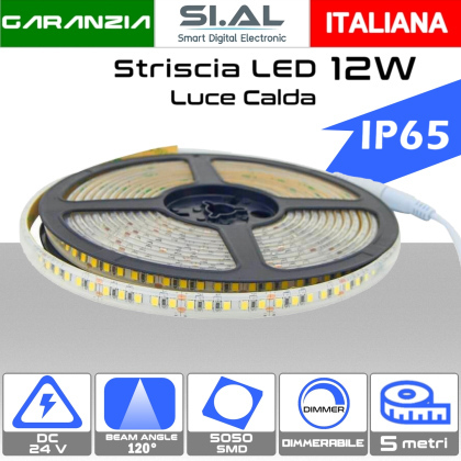 Striscia LED 24V IP65 Luce calda 3000K da 5 metri 12W/metro dimmerabile 