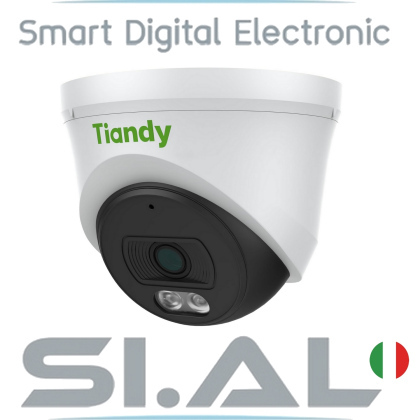 0529L Turret telecamera ip tiandy 