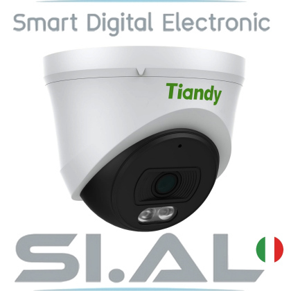 0529L Turret telecamera ip tiandy 
