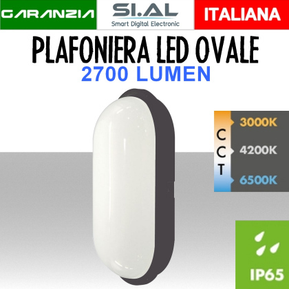 Plafoniera LED Ovale IP65 antracite CCT