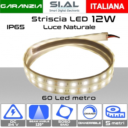 Striscia LED SMD5050-12W a 1000Lumen/metro 5.0metri dc24V Luce Naturale 4000K IP65